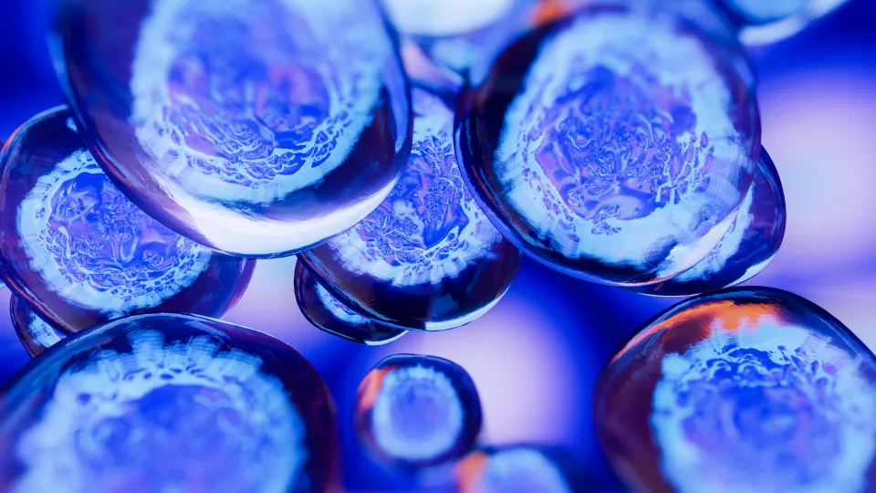 Creative Image of Embryonic Stem Cells