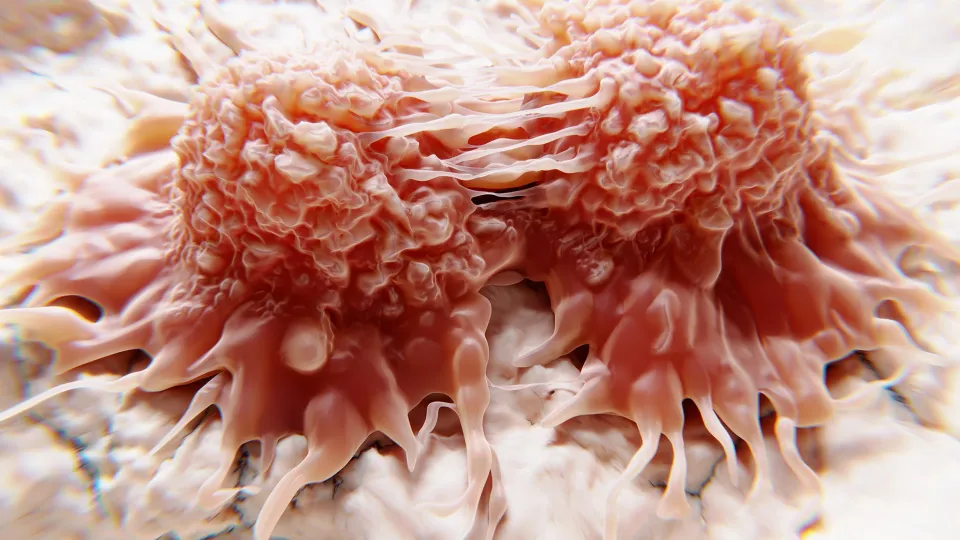 Dividing cancer cells, illustration