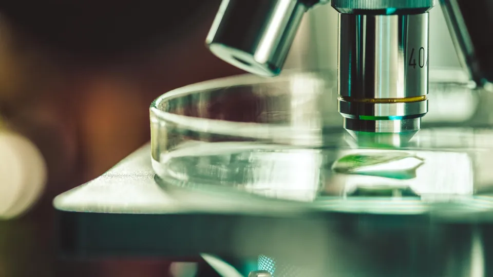 Microscope in the laboratory