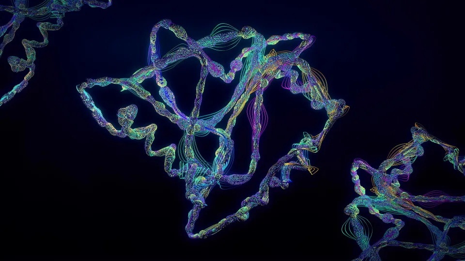 Protein, illustration