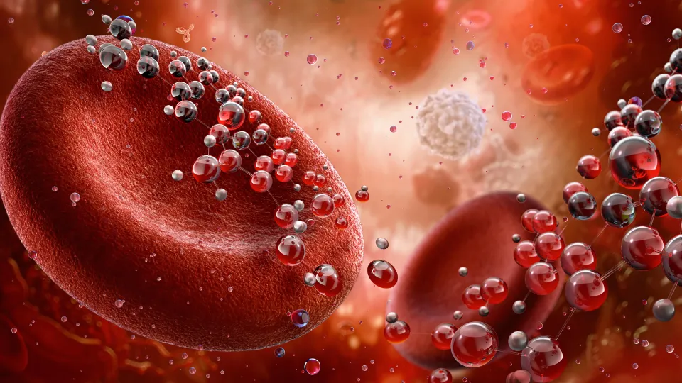 Red blood cells, illustration