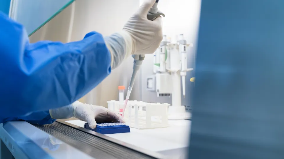 Scientists conduct scientific experiments in the biosafety cabinet of the laboratory