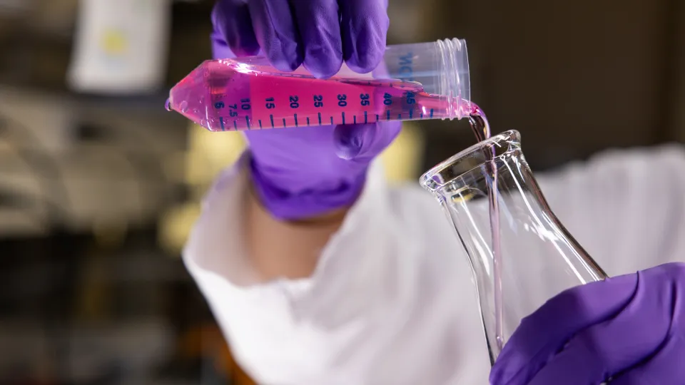 Measuring Liquids
