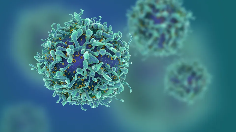 T-cells in shallow depth of field