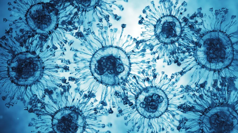 Virus Disease X Cells. Microscope Slide