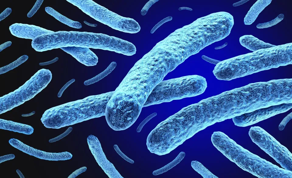 Leprosy and Mycobacterium leprae Bacteria